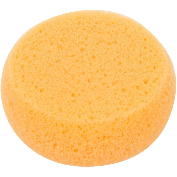 Kemper Pottery Sponge