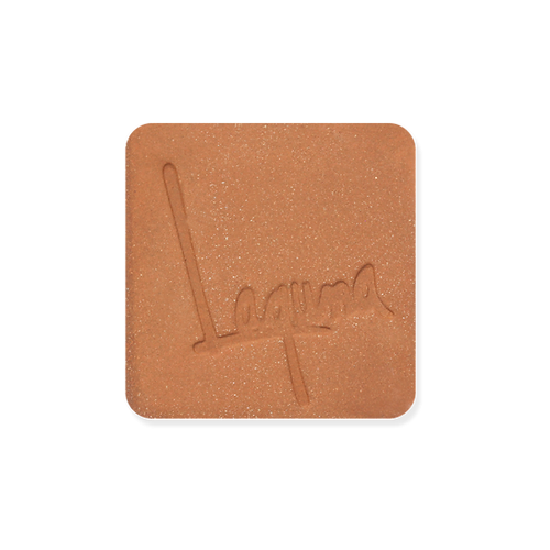Red B Mix with Grog Laguna Clay - Cone 5